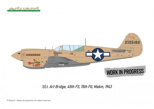 Eduard 1:48 - P-40N WARHAWK ROYAL CLASS DUAL COMBO (R0025)