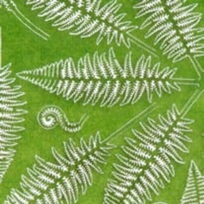 Main Image Fern 1:32 and 1:35
