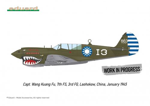 Eduard 1:48 - P-40N WARHAWK ROYAL CLASS DUAL COMBO (R0025)