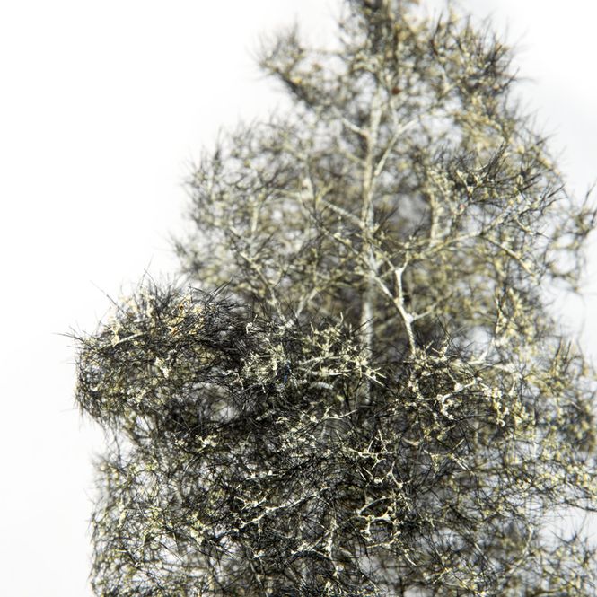 Main Image Fantasy Bushes - Black-White (AK8265)