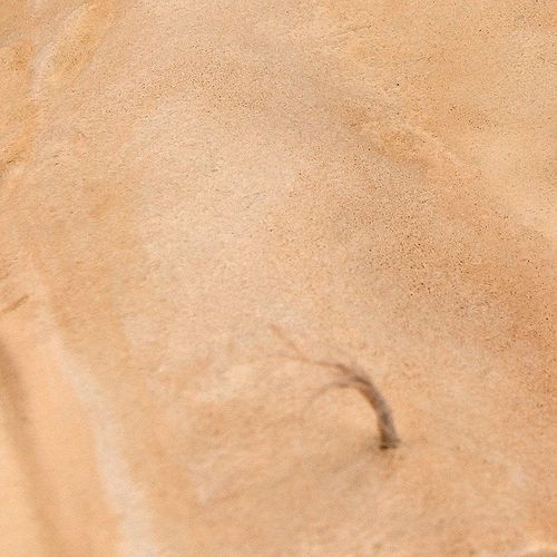 AK-Interactive Terrains Sandy Desert 250ml (8022)