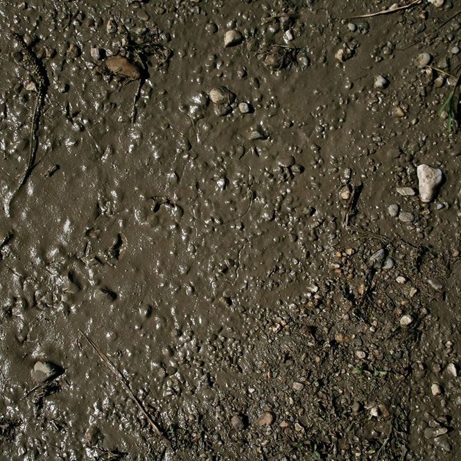 Hovedbilde AK-Interactive Terrains Wet Ground 250ml (8016)