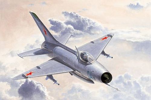 Trumpeter 1:48 - MiG-21 F-13/J-7 Fighter 02858 